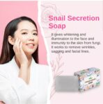 WhatsApp Image 2024-05-27 at 9.08.18 PM