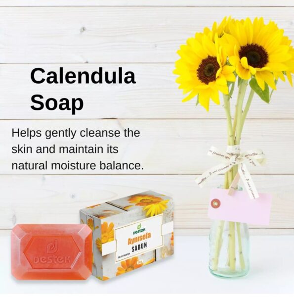 WhatsApp Image 2024-05-27 at 7.36.21 PM (2)